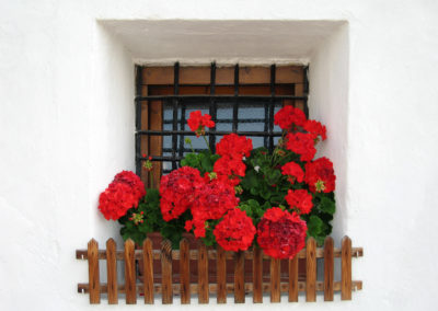 2008-126 copia