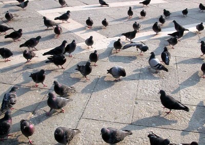 Il ballo degli innamorati