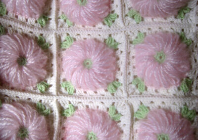 coperta2