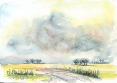 Paesaggio estivo