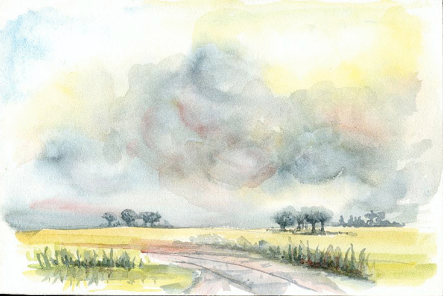 Paesaggio estivo