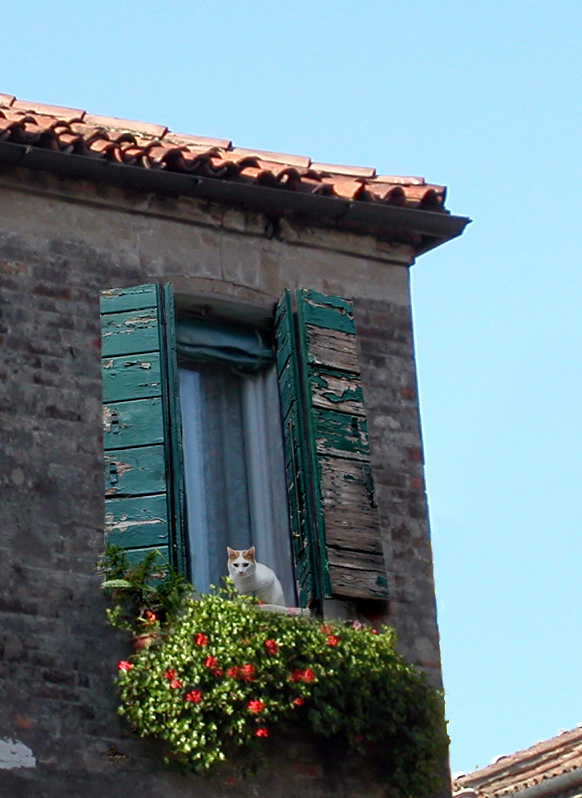 Finestra sotto il tetto