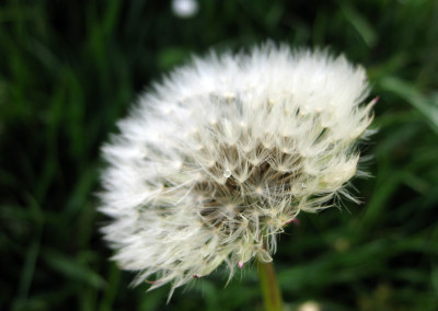 Etciù