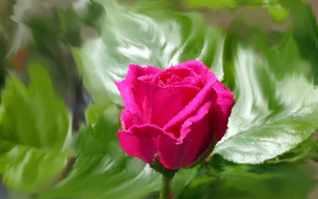 Festa della mamma