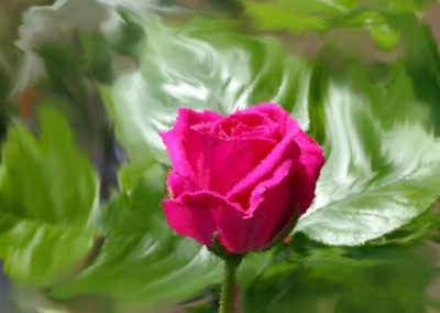 Festa della mamma