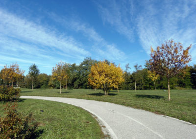 Viali d’autunno