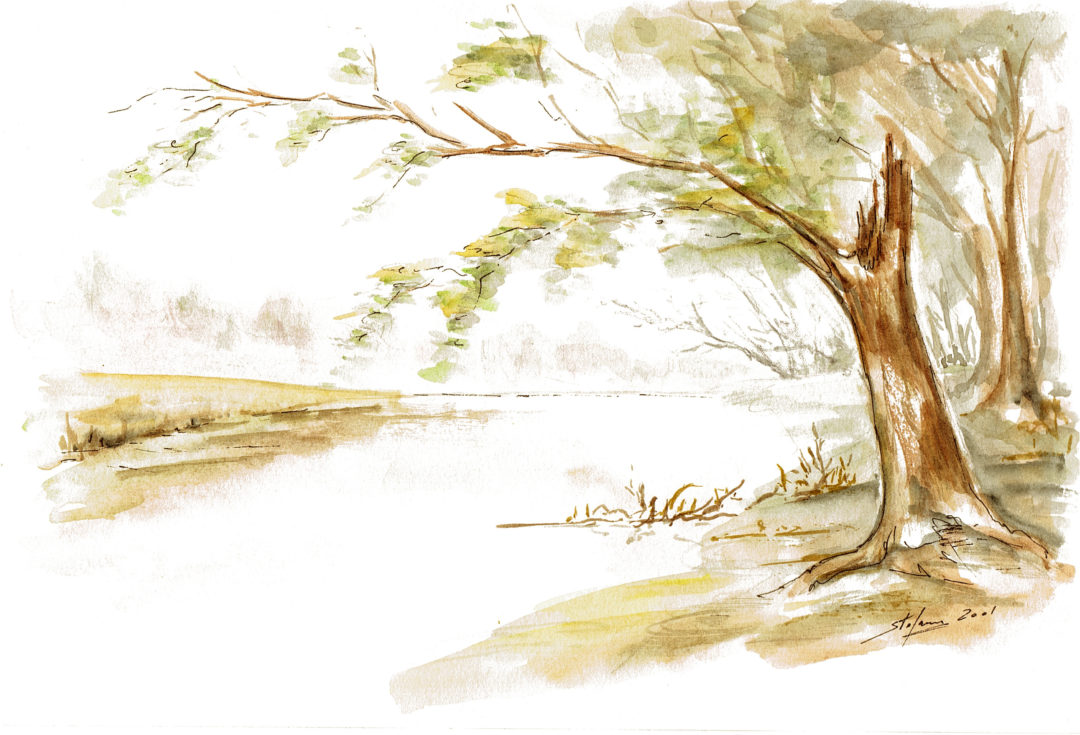 L’albero