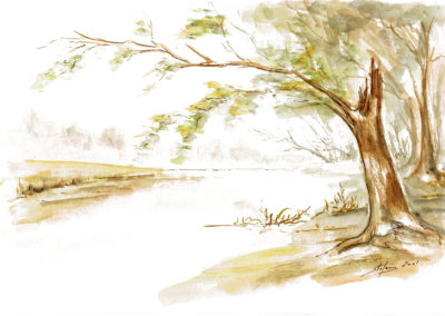 L’albero